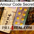 Love Secret Code new06